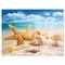 Designart - Starfish and Seashells on Beach - Seashore Photo Canvas Art Print